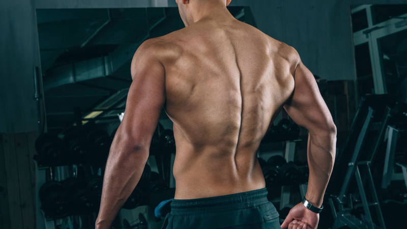 hom apollo la gi dac diem cua hom apollo o nam gioi la gi CooO