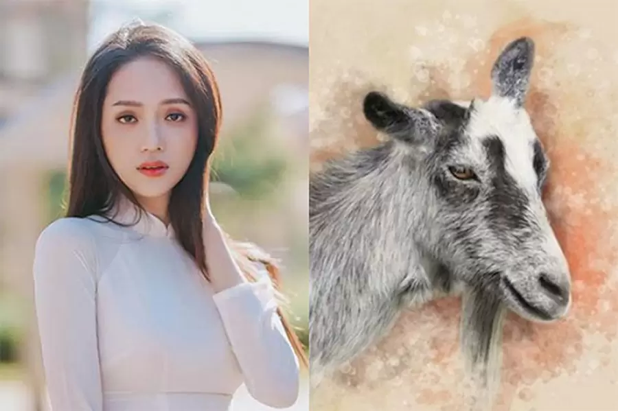 luan giai tu vi tron doi nam nu mang tuoi ky mui sinh nam 1979 5jY7