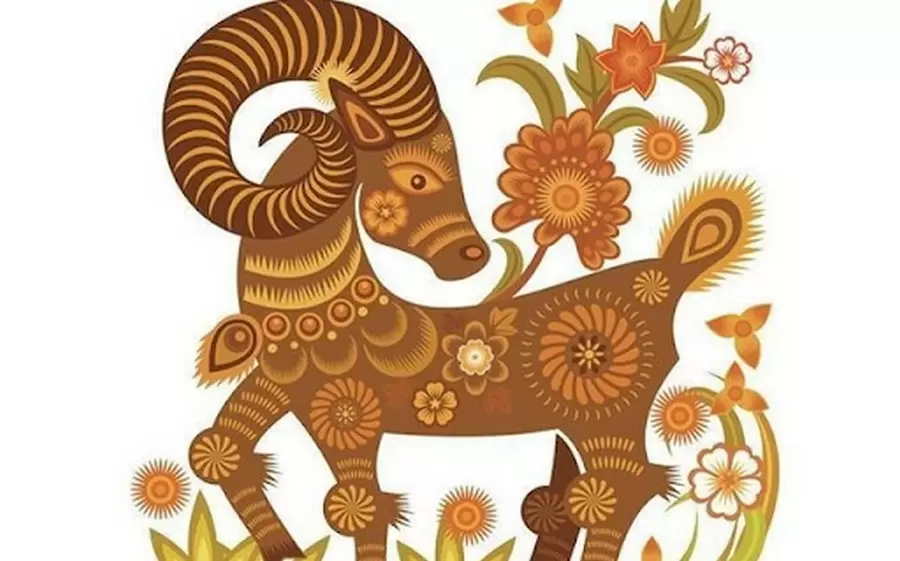 luan giai tu vi tron doi nam nu mang tuoi ky mui sinh nam 1979 bTt6