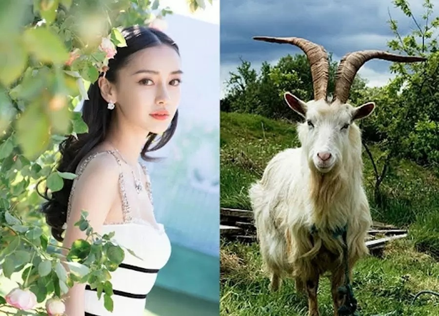 luan giai tu vi tron doi nam nu mang tuoi ky mui sinh nam 1979 ysVj