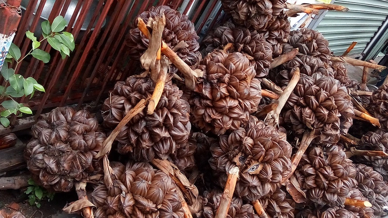 me sau sinh an dua nuoc duoc khong can luu y gi khi an dua nuoc FzNQ