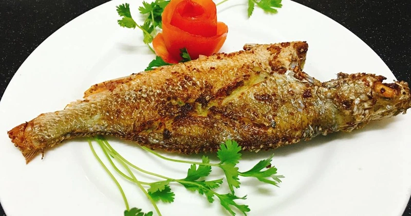 nen an ca nuoc ngot hay ca nuoc man loai ca nao tot cho suc khoe hon 7lRk