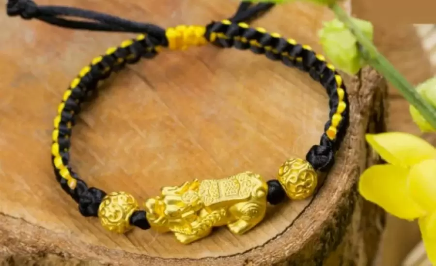 nguoi tuoi dinh ty nam 1977 thuoc menh gi hop mau gi tuoi con gi QbMA