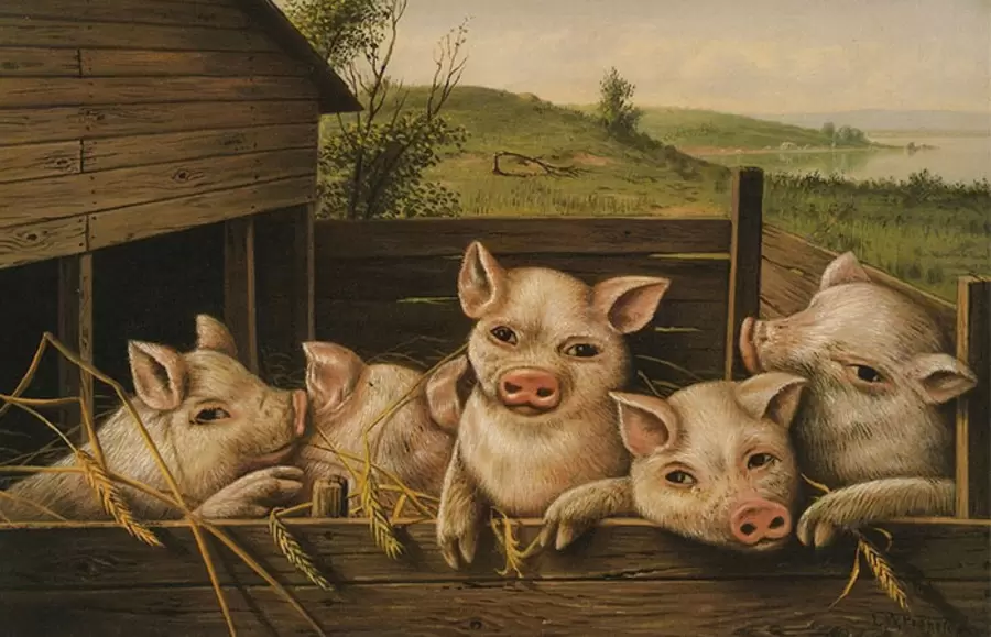 nguoi tuoi quy hoi sinh nam 1983 thuoc menh gi hop mau gi tuoi con gi NLfz