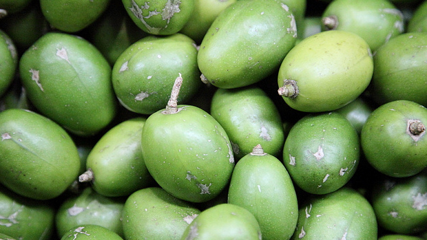 nuoc ep coc bao nhieu calo uong nuoc ep coc co tang can khong JsQr