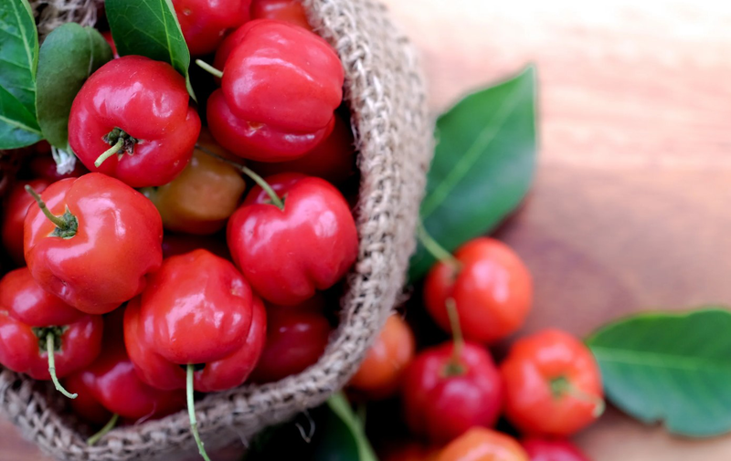 nuoc ep so ri mix voi gi top 5 cong thuc nuoc ep so ri sieu ngon 6WCA