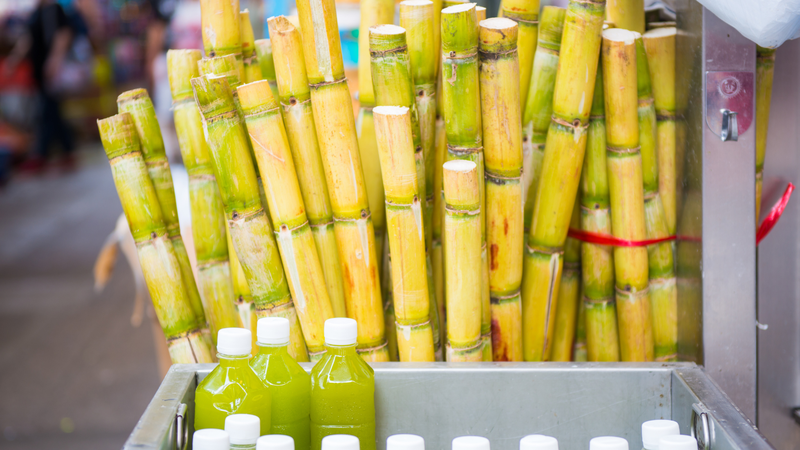 nuoc mia co cong dung gi uong nuoc mia nhieu co bi tieu duong khong