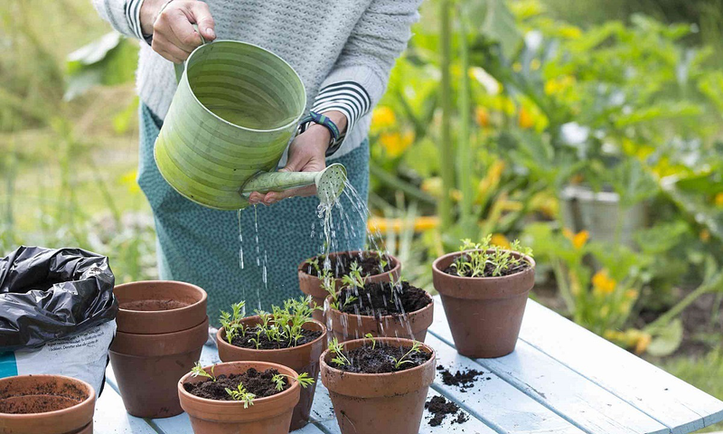 nuoc mua co sach khong co nen uong nuoc mua truc tiep khong hOqv