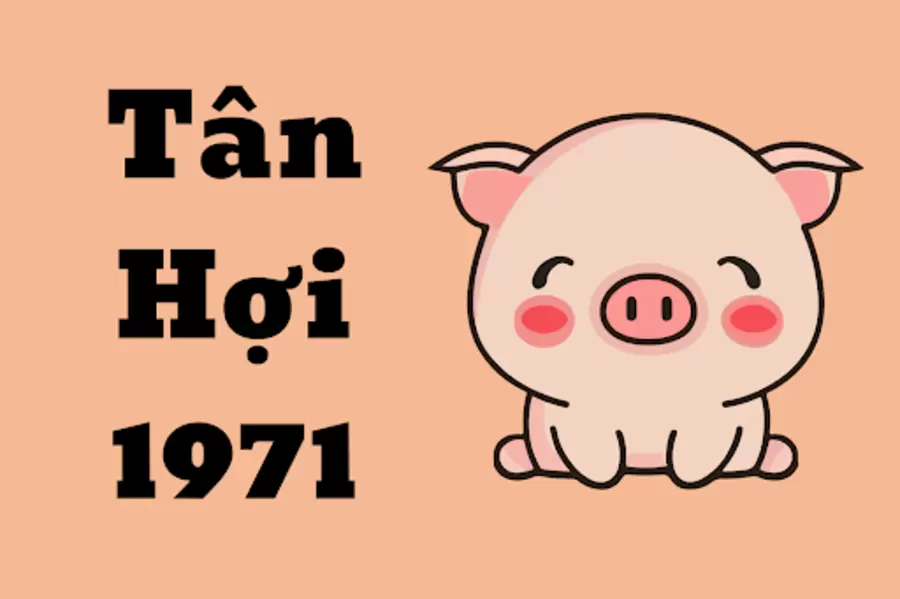 tu a den z ve tuoi hoi tinh cach su nghiep tai van va so menh adwJ