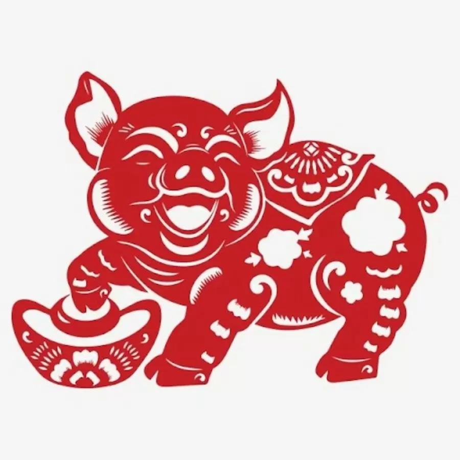 tuoi at hoi sinh nam 1995 tu vi tron doi nam nu mang chi tiet mvFL