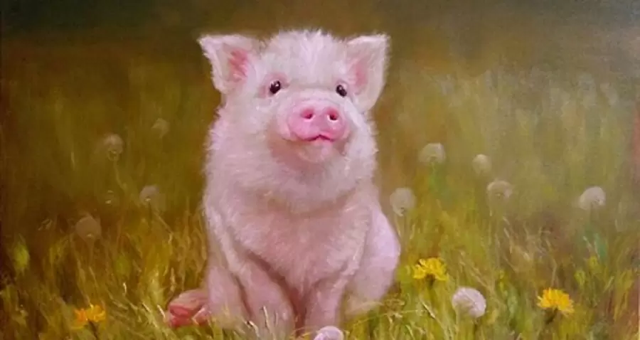 tuoi at hoi sinh nam 1995 tu vi tron doi nam nu mang chi tiet opfH