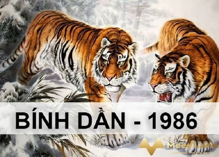 tuoi binh dan sinh nam 1986 tu vi tron doi nam nu mang co gi dac biet WcHa