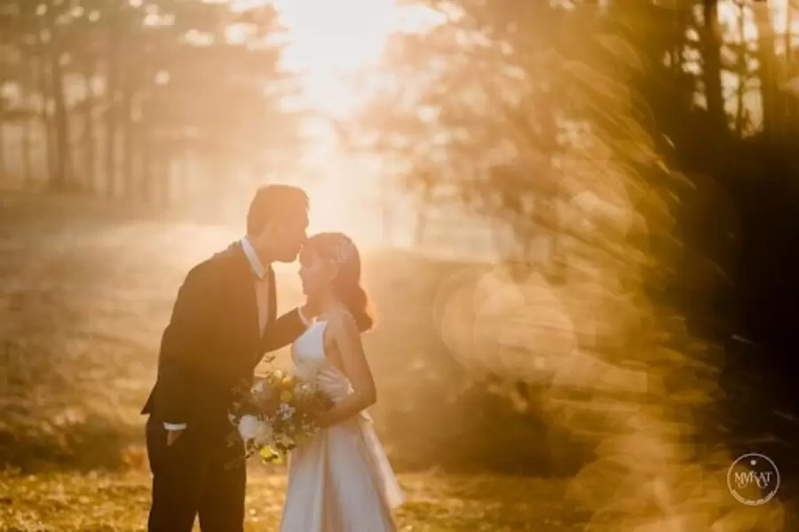 tuoi giap tuat sinh nam 1994 chi tiet tu vi tron doi nam nu mang fzfl