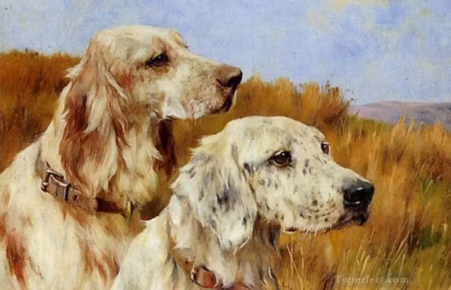 tuoi giap tuat sinh nam 1994 chi tiet tu vi tron doi nam nu mang nigJ