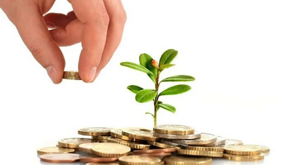 tuoi mau thin sinh nam 1988 luan giai tu vi tron doi doi voi nam nu mang v78Bc32yk