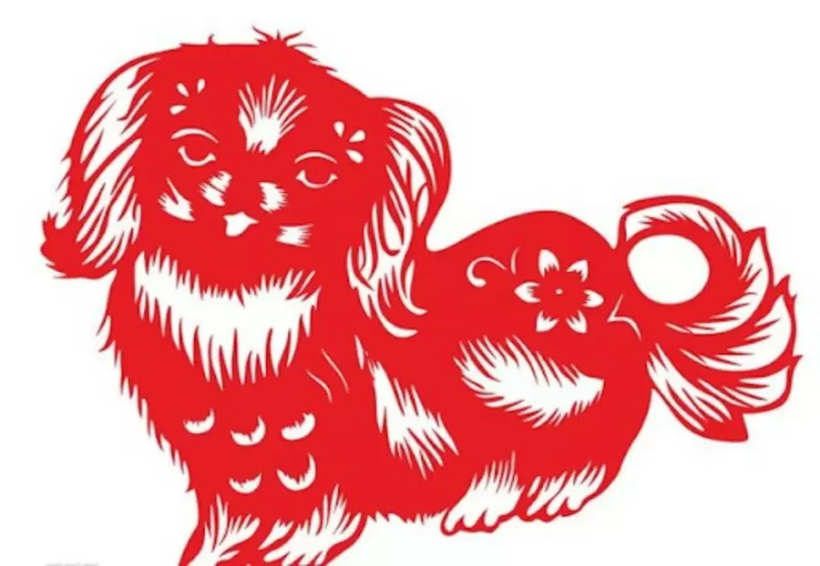 tuoi nham tuat sinh nam 1982 tu vi tron doi nam nu mang moi nhat 2bhX