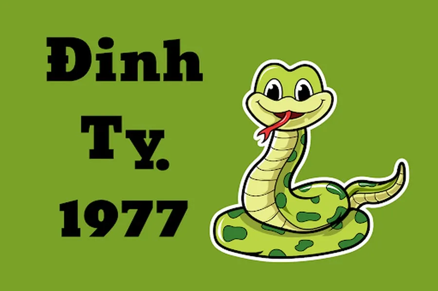 tuoi ty tim hieu tat tan tat ve tu vi so menh tuoi ty tu a z zCNzgqZwO