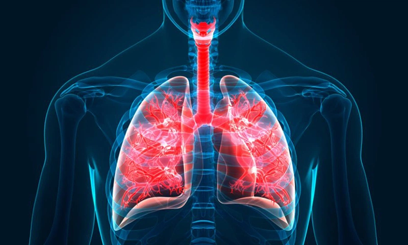 uong nuoc gi tot cho phoi mach ban 6 loai nuoc uong lam sach phoi de dang