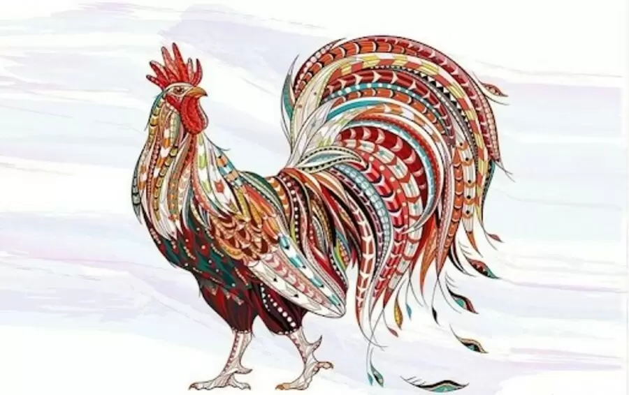 xem tu vi tron doi nam nu mang tuoi tan dau sinh nam 1981 BXId