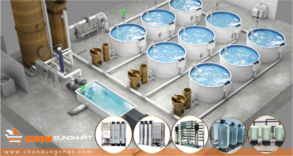 Tư vấn lắp đặt Hệ thống lọc nước trong ngành Chăn nuôi thuỷ hải sản