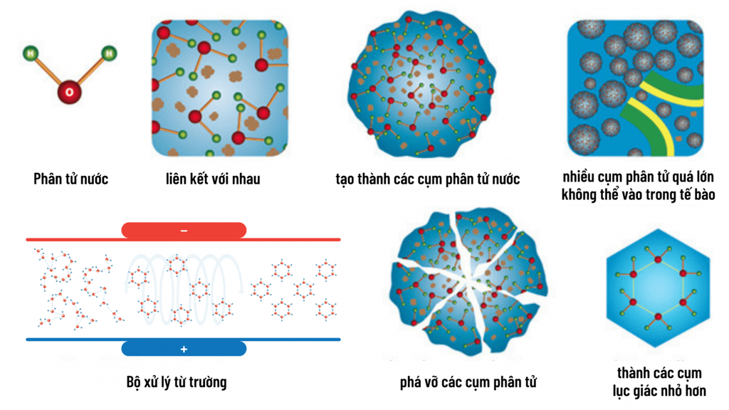 Hệ thống lọc nước tổng cho Biệt thự có đặc điểm gì?