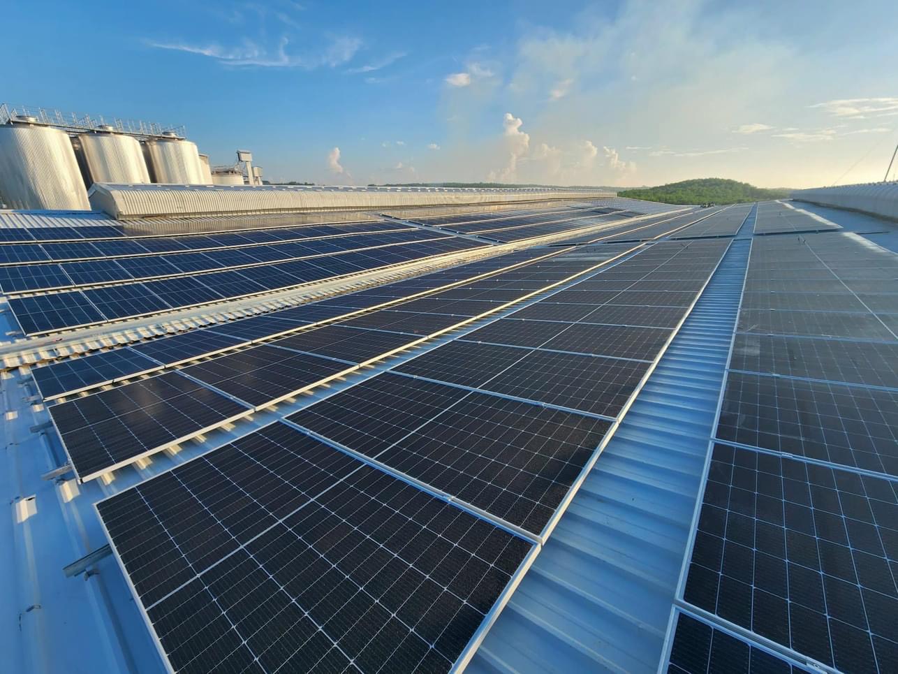 image 2024-04-10-09-13-57-62