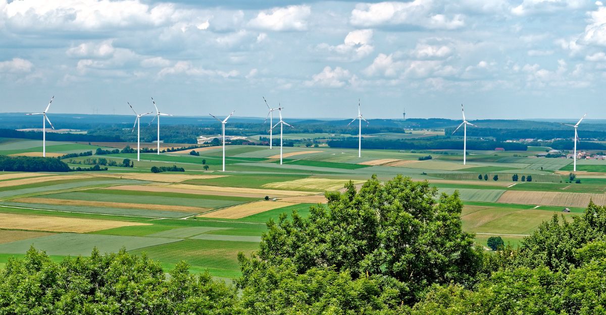 image 2024-06-10-14-15-10-41