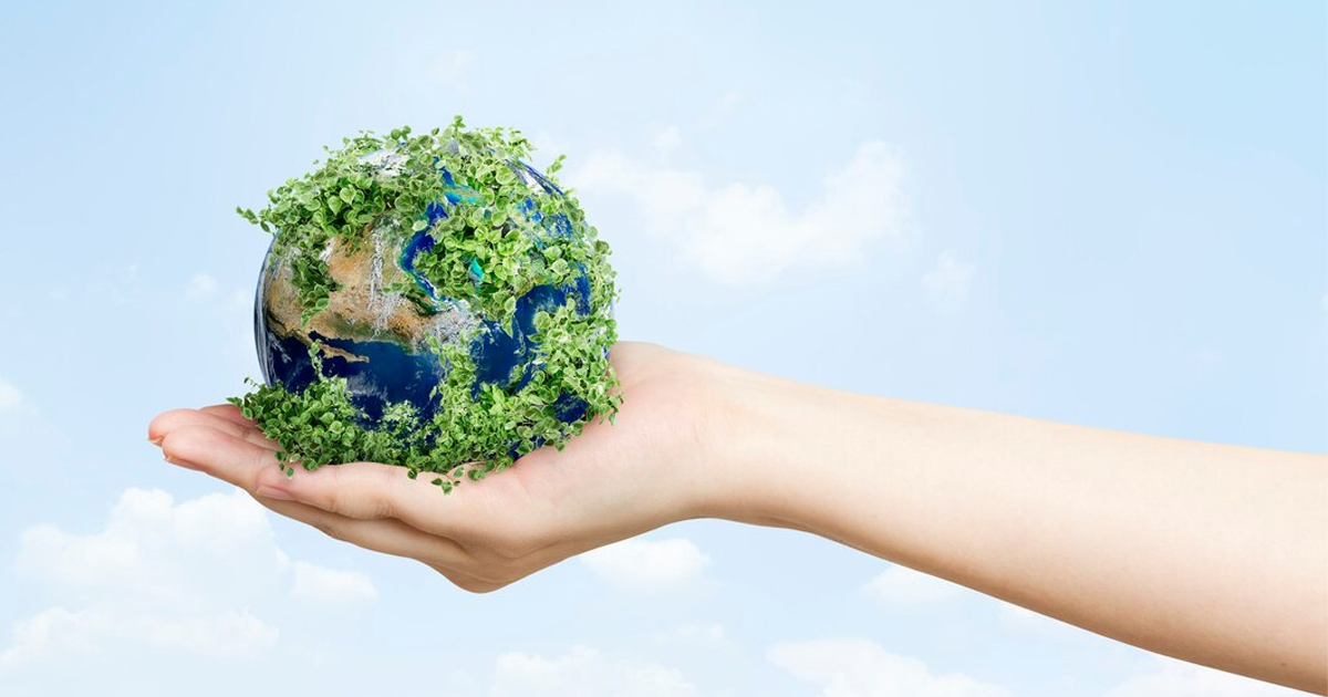 image 2024-08-27-11-21-10-50