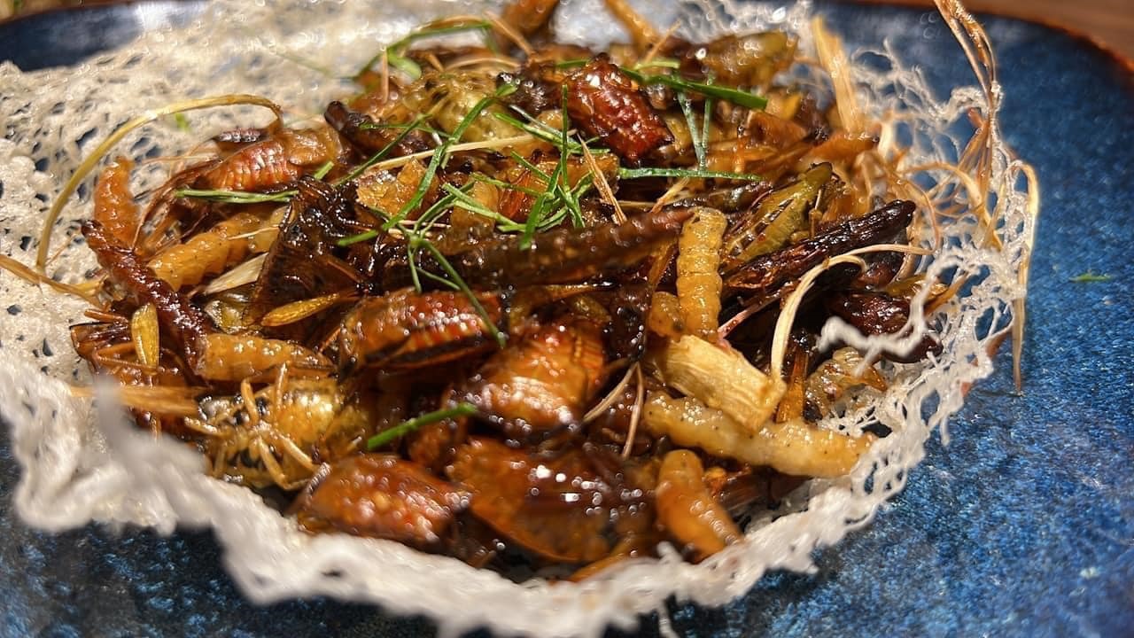 Món côn trùng chiên đặc sản của nhà hàng