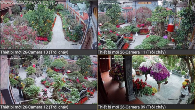  Lắp camera giám sát sân vườn