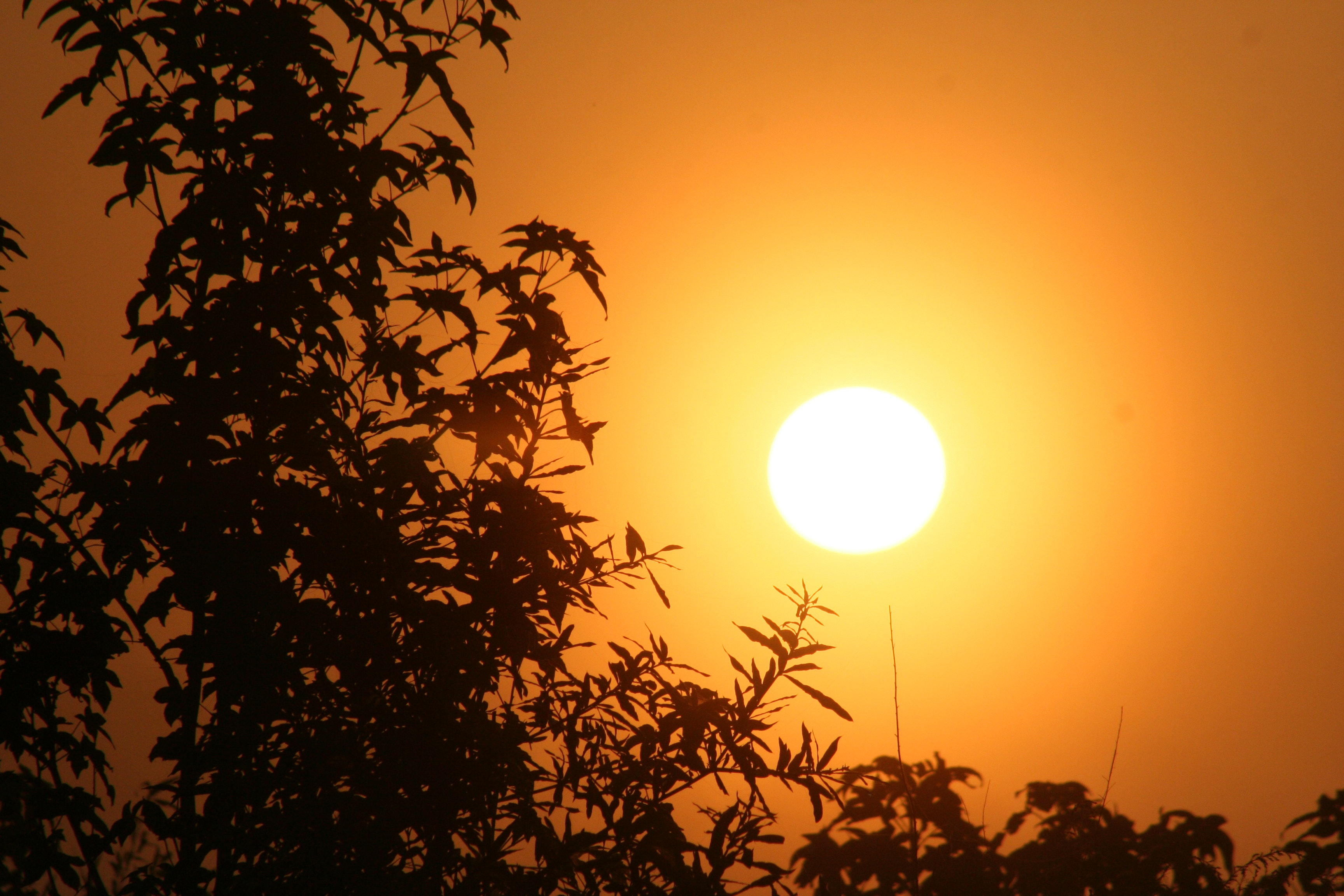 Năng lượng từ mặt trời