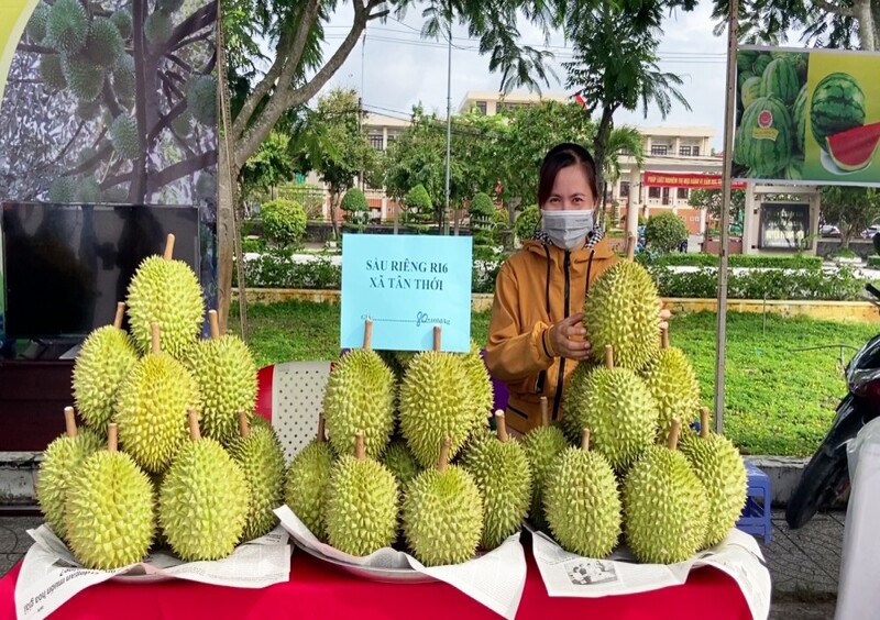 Tiêu chuẩn OCOP giúp phát triển kinh tế nông thôn