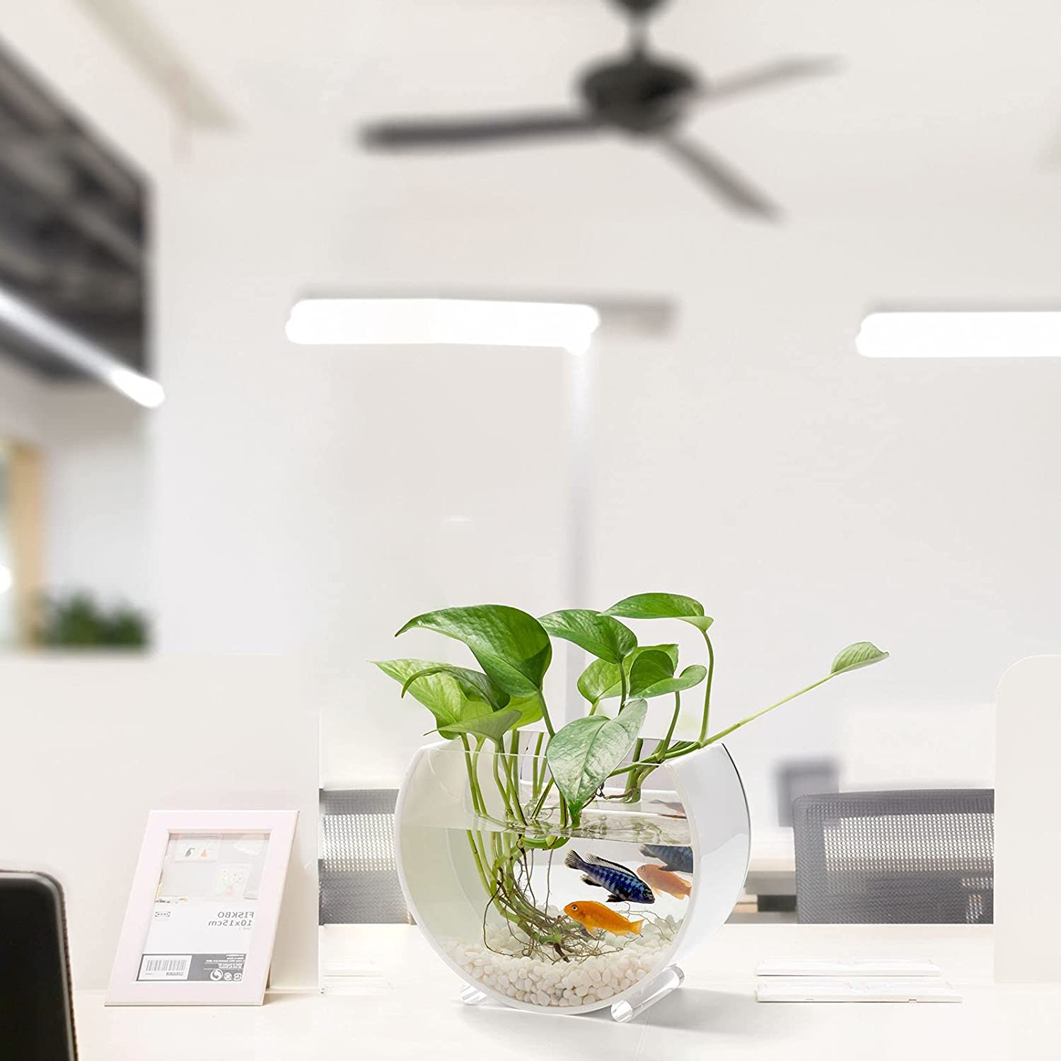 Những vật trang trí có tính Thủy 