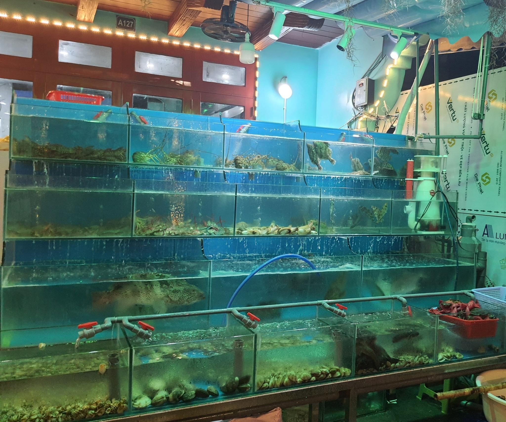 Top 10 nhà hàng hải sản ngon nức tiếng Hạ Long 6 Hải sản tươi sống đại dương vàng hạ long 999