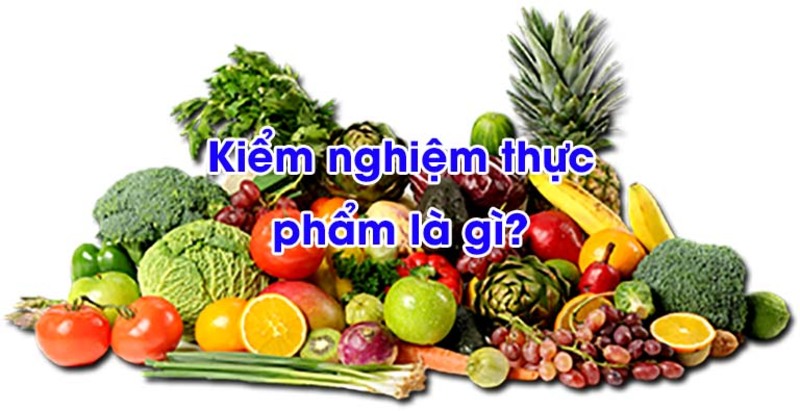 Kiểm nghiệm thực phẩm đánh giá sự phù hợp của sản phẩm