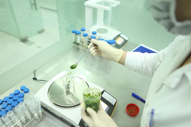 Quy trình kiểm nghiệm chất lượng thực phẩm