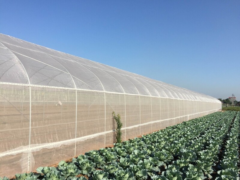 Nhà lưới chống côn trùng theo đúng quy chuẩ