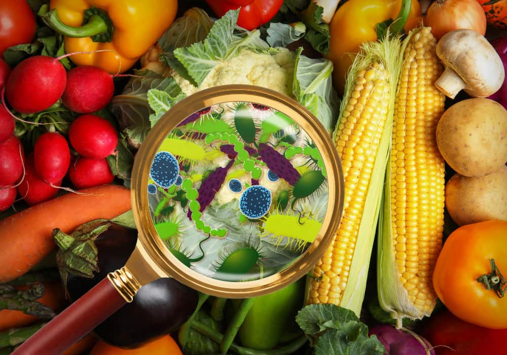 moi nguy gay o nhiem vat ly