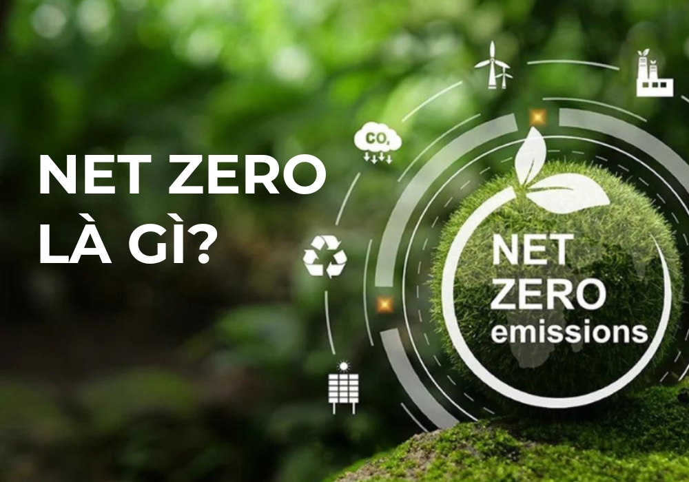net zero 1