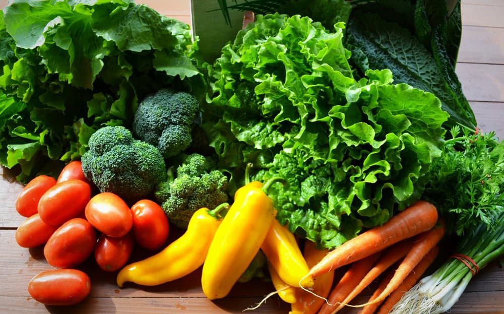 rau-huu-co-va-rau-an-toan