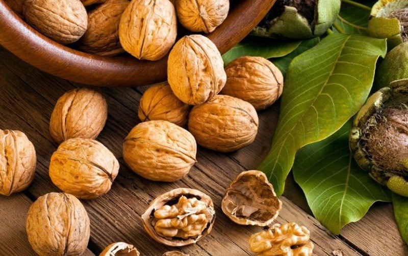 Ăn hạt óc chó rất tốt cho đôi mắt