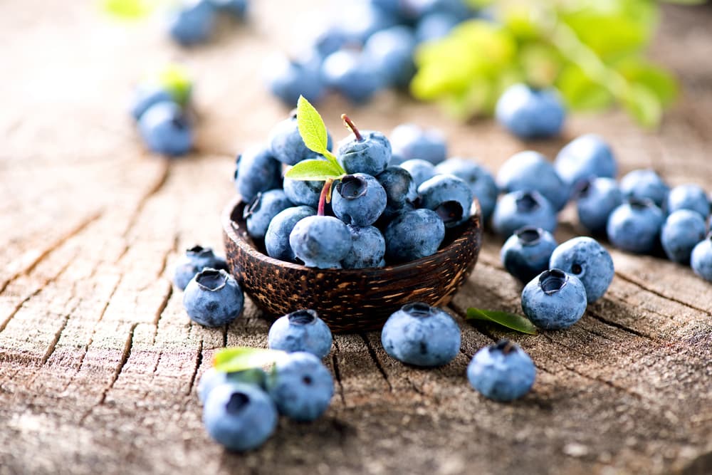 Quả việt quất chứa thành phần chống oxy hóa