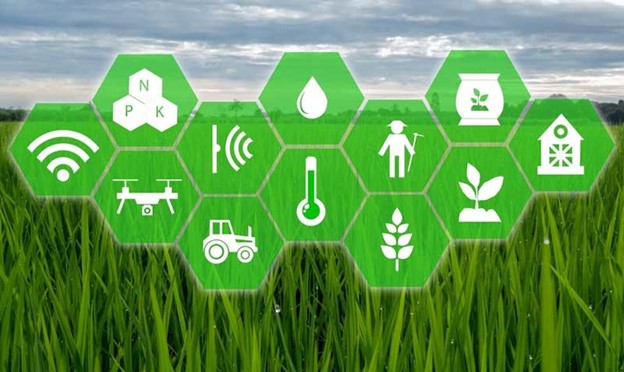 thuc hanh nong nghiep tot