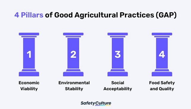 thuc hanh nong nghiep tot