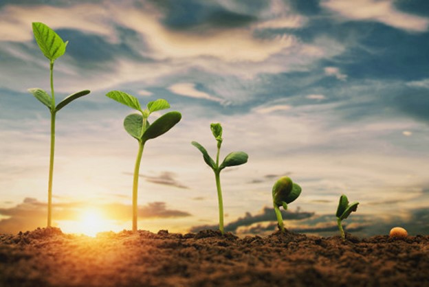 thuc hanh nong nghiep tot