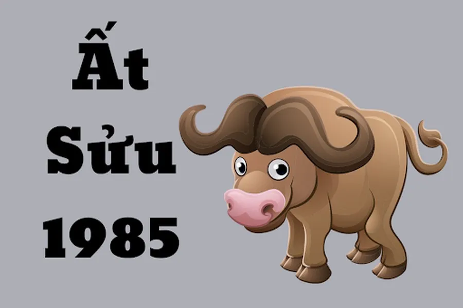 tuoi suu tu vi tuong so ve tinh cach su nghiep tai van va so menh SvuurUHJr