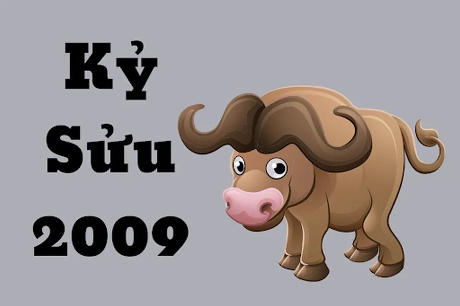 tuoi suu tu vi tuong so ve tinh cach su nghiep tai van va so menh U8HSGlY1b