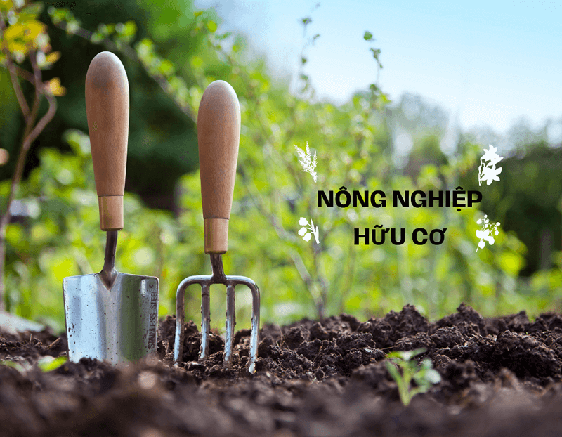 uu nhuoc diem canh tac huu co