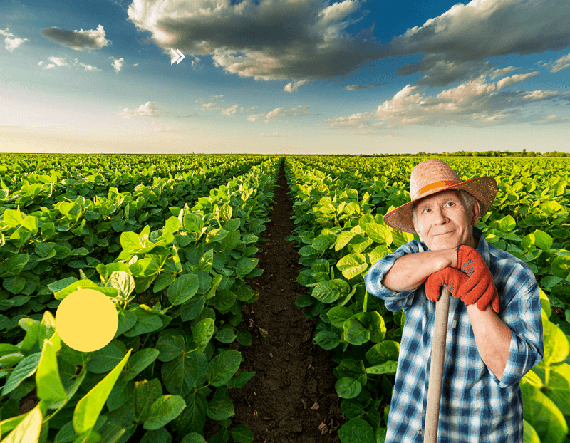 uu nhuoc diem canh tac huu co