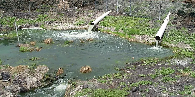 Xử lý nước thải nông nghiệp là gì? Tại sao cần xử lý nước thải nông nghiệp?